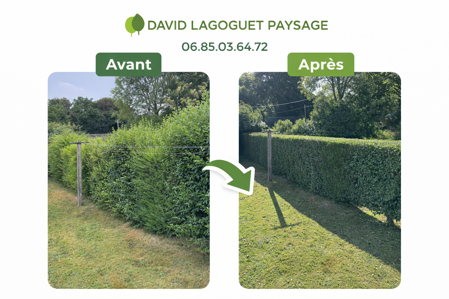 Taille de haie haute — Avant Après